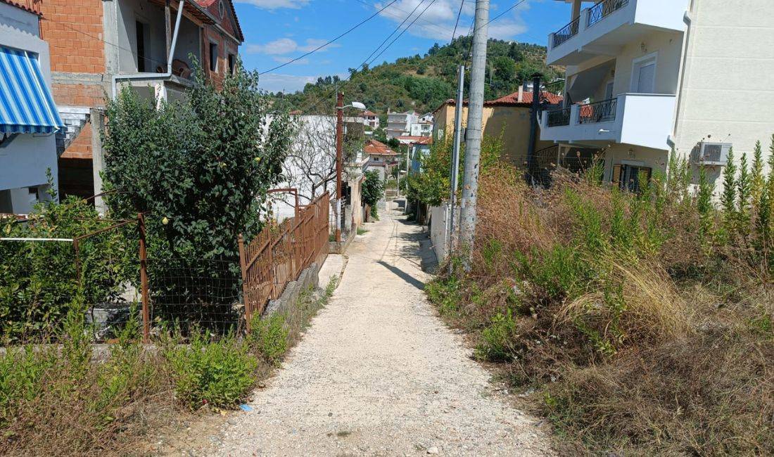 Foto 6