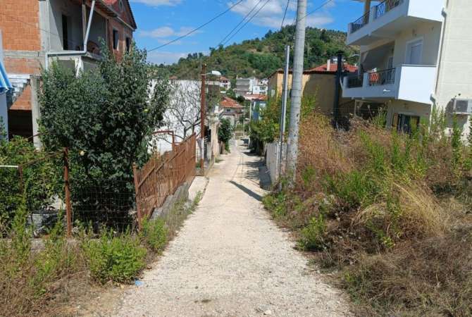 Shitet Toka ne Kombinat