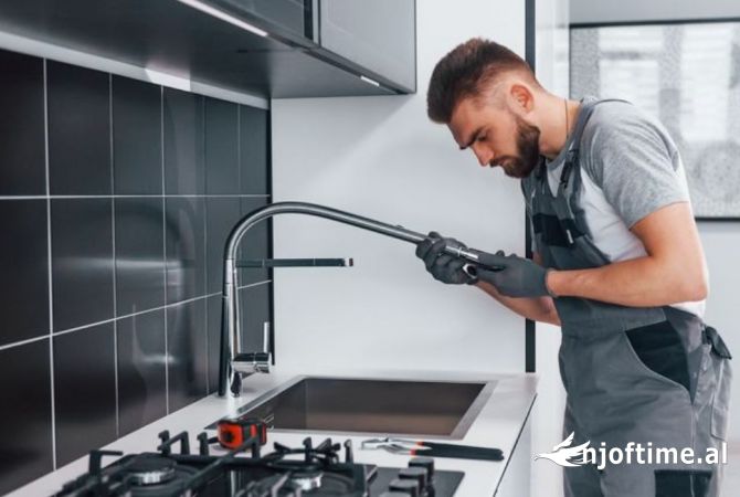Environment maintenance  in Tirana - 20 