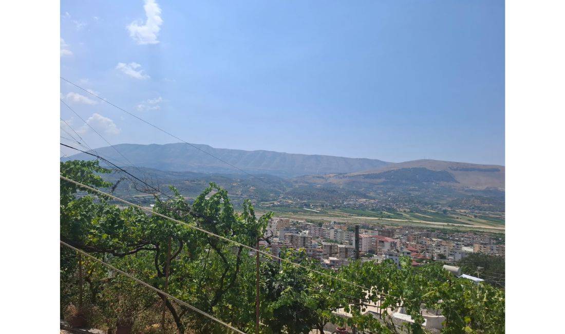 Foto 14