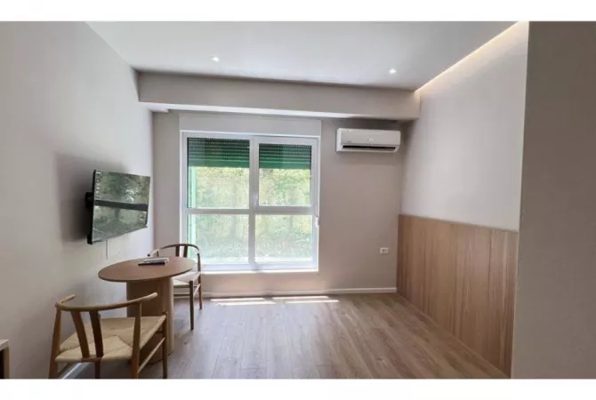 Shtepi me qera Apartament ne Tirane, Garsoniere, Mobilimi Pjeserisht e mobiluar, Pagesa 300  Euro.