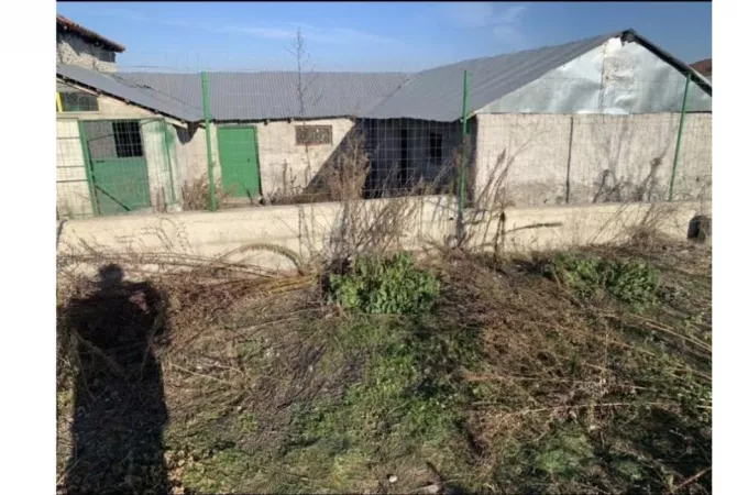 Truall ose Toke  ne Korce - 40,000 Euro