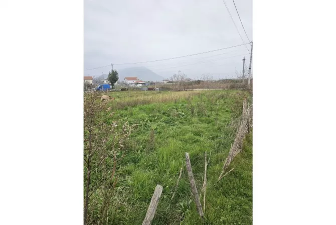 Terreno in vendita  a Alessio - 63,800 Euro