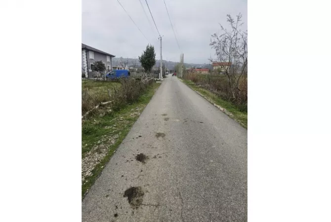 Terreno in vendita  a Alessio - 63,800 Euro