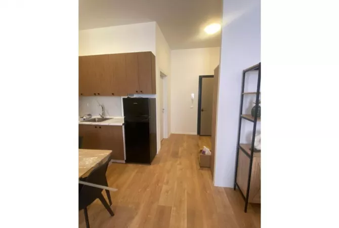 House for Rent 1+1 in Tirana - 600 Euro