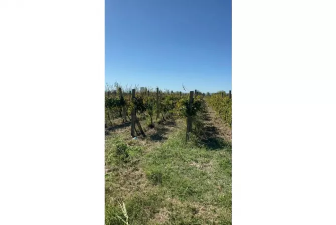 Terreno in vendita a Durazzo - 135,000 Euro