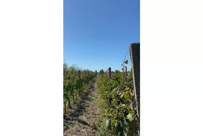 Terreno in vendita a Durazzo - 135,000 Euro