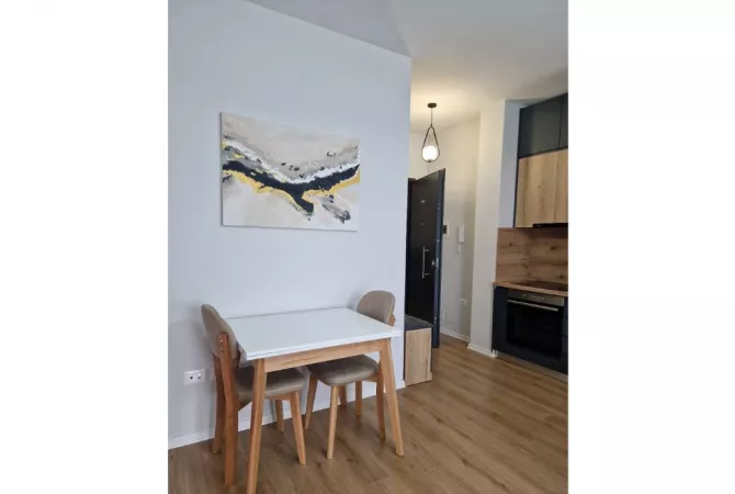 Shtepi me qera 1+1 ne Tirane - 600 Euro