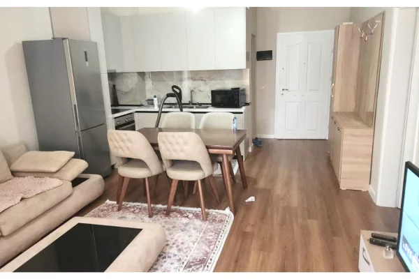 House for Rent 1+1 in Tirana - 500 Euro