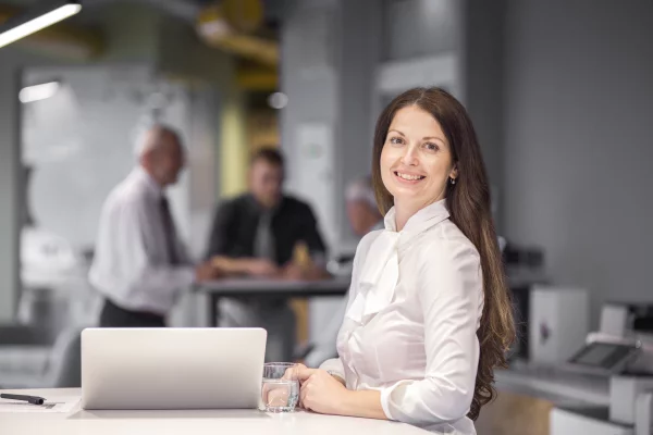 Njoftime Pune Shef i Sektorit të Buxhetit