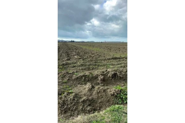 Truall ose Toke ne Durres - 105,000 Euro