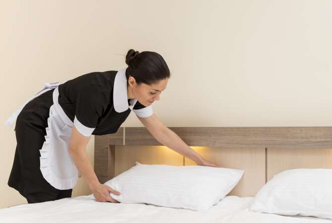 Job Offers Sanitary/Cleaner