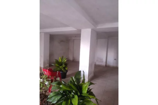 Ambient biznesi ne shitje 1+1 ne Korce - 17,000 Euro