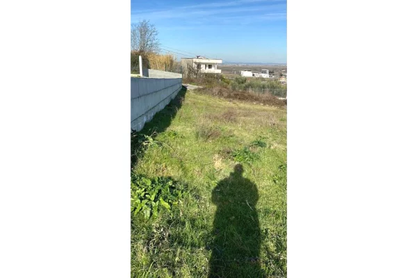 Shitet toke ne Koder Koxhas – zone kodrinore, ajer i paster dhe shume e qete 🌿