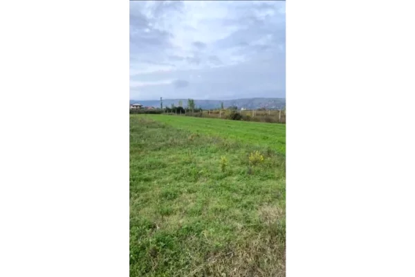  Okazion – Shitet prone 500 m2