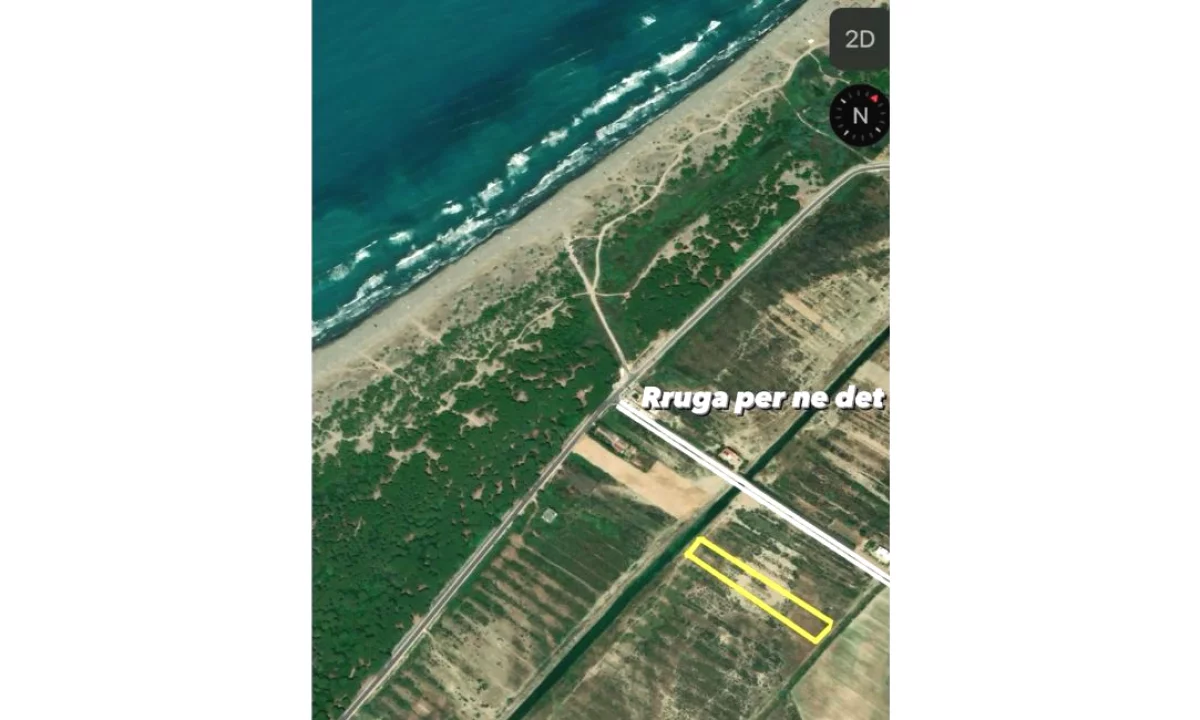 OKAZION! Shitet toke ne brezin e dyte, Spille 