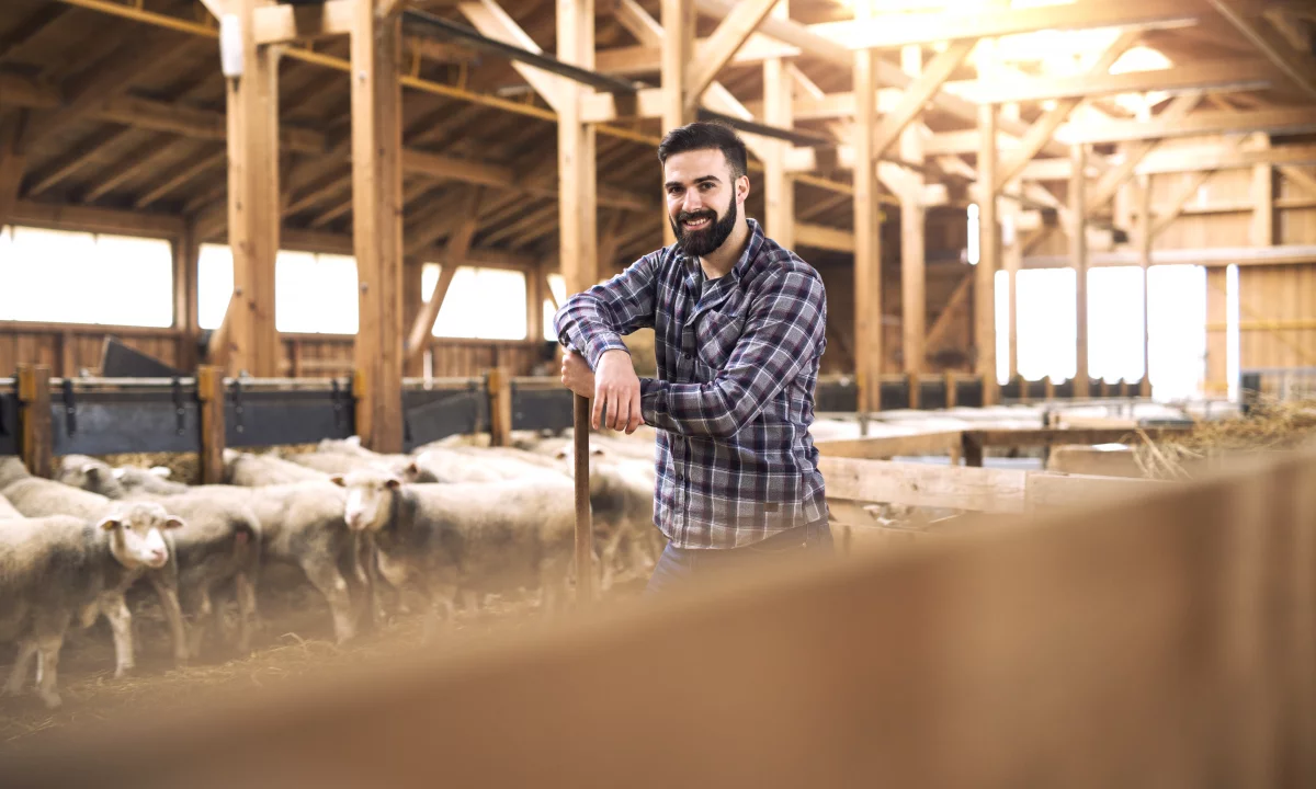 Offerte di lavoro a Koriza, Profession Çoban , Con esperienza, Pagamento Trattabile.