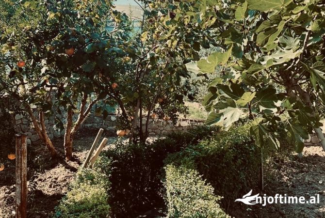 Shtepi me qera 2+1 ne Tirane - 550 Euro