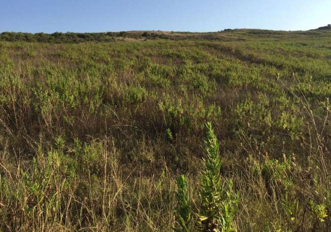 💥Super toke vetem 150 m nga deti ,plazhi Bardhor,Kavaje💥