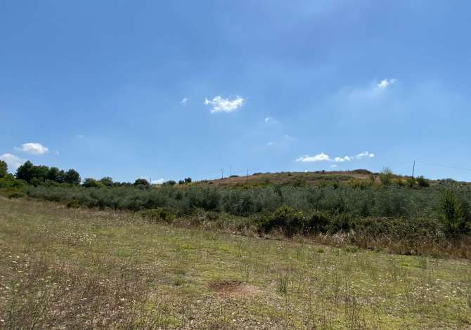 Terreno in vendita  a Kavaja - 56,800 Euro