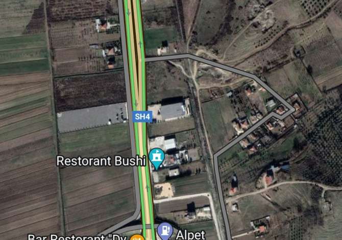 Shite Ullishte vetem 8Euro/m2 me 300 rrenje ullinj,Gose,Kavaje 