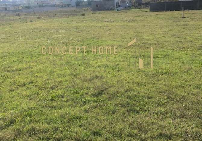 Truall ose Toke  ne Tirane - 40,000 Euro