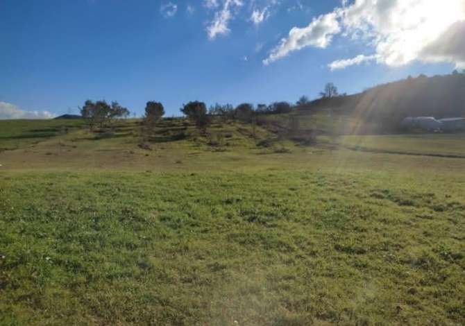 Truall ose Toke  ne Tirane - 215,000 Euro