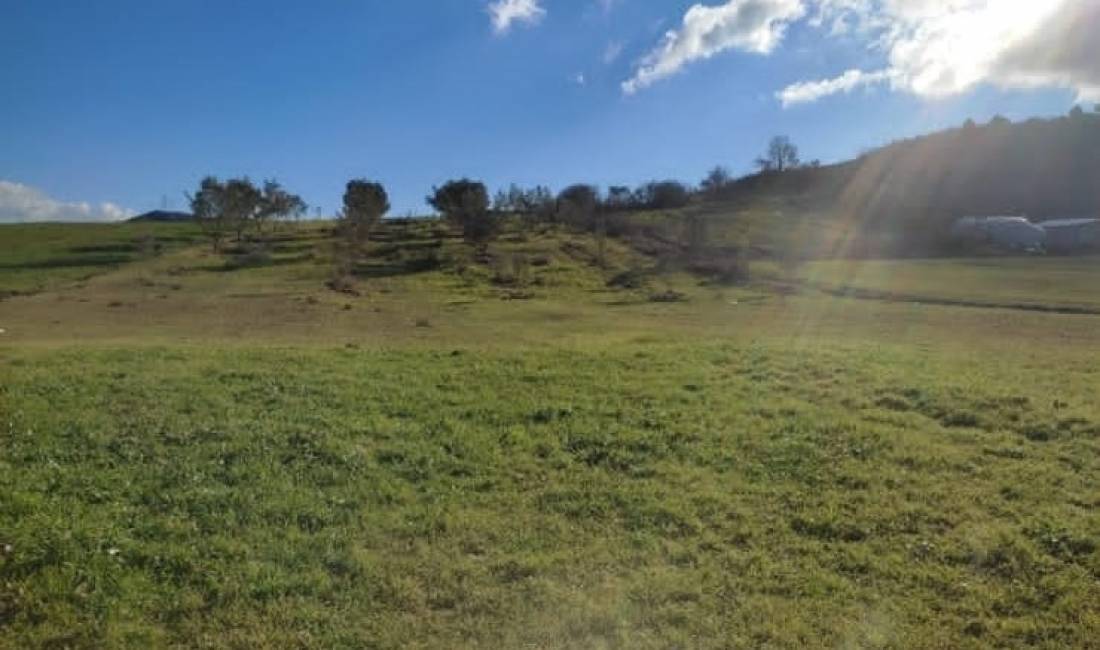 Shitet toke ne Kus Kashar, afer liqenit Purrez