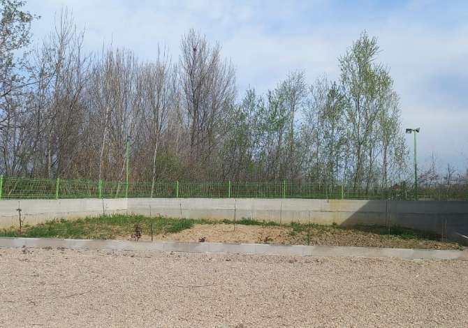 Ambiente Commerciale in Vendita 5+1 a Tirana - 320,000 Euro