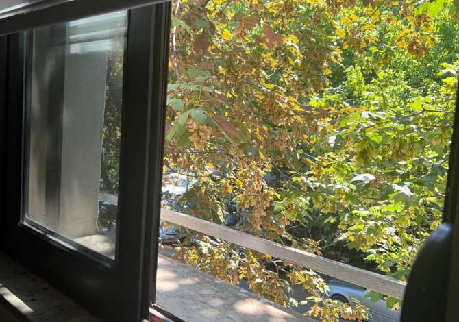 Jepet me qera amjent biznesi per zyre tek Stadiumi Dinamo, prane Restorant Pa Pirunj