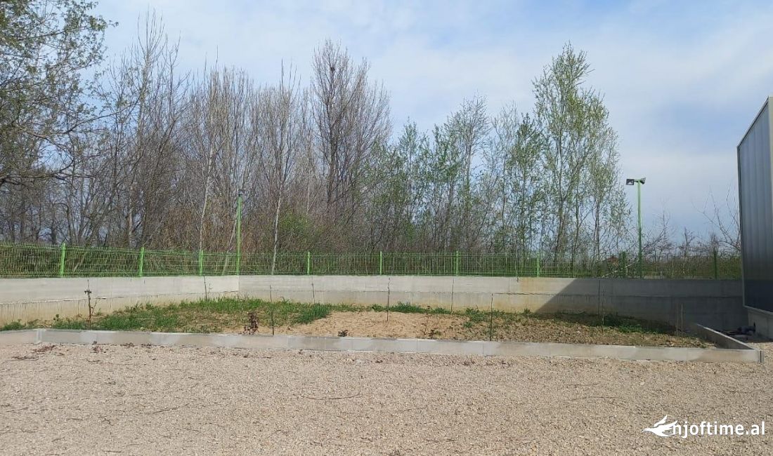 Foto 6