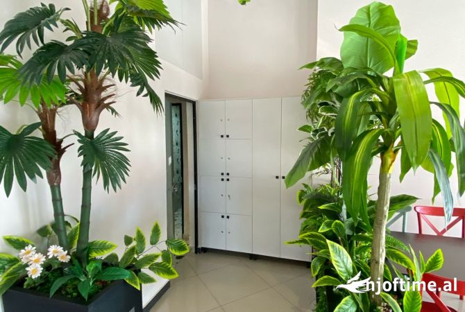 Ambient biznesi ne shitje 2+1 ne Tirane - 150,000 Euro
