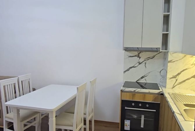 Shtepi me qera 1+1 ne Tirane - 60,000 Leke
