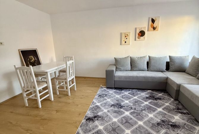 Shtepi me qera 1+1 ne Tirane - 50,000 Leke