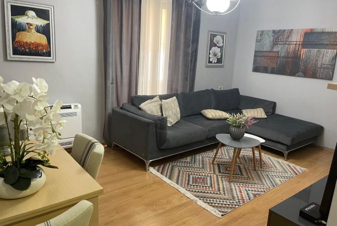 Shtepi ne shitje Apartament ne Tirane, 1+1, Mobilimi E mobiluar, Pagesa 155,000  Euro.