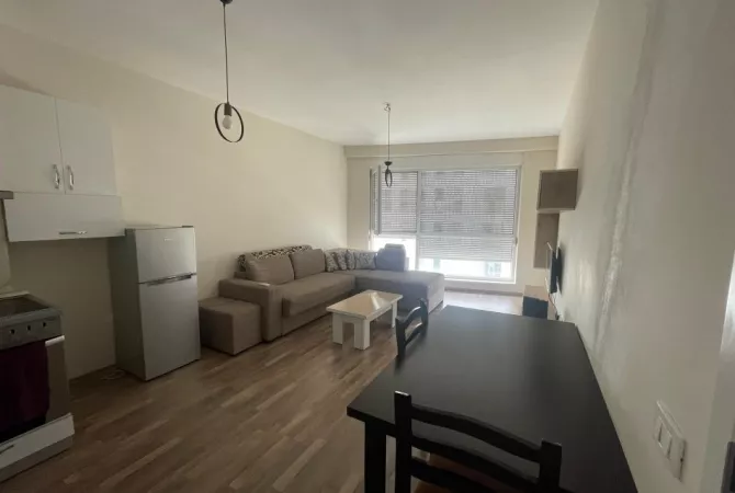 Shtepi ne shitje 1+1 ne Tirane - 110,000 Euro