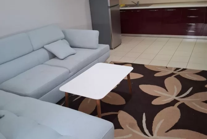 Shtepi me qera Apartament ne Tirane, 1+1, Mobilimi E mobiluar, Pagesa 400  Euro.