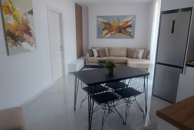 Shtepi me qera Apartament ne Tirane, 1+1, Mobilimi E mobiluar, Pagesa 470  Euro.