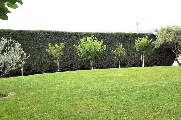 Shtepi me qera 3+1 ne Tirane - 900 Euro