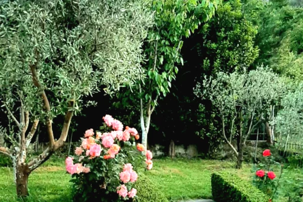 Shtepi me qera 3+1 ne Tirane - 900 Euro