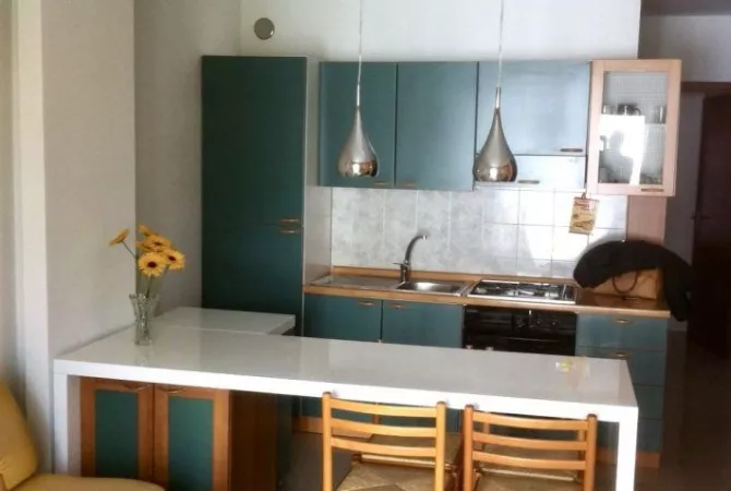 House for Rent 1+1 in Tirana - 50,000 Leke