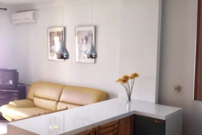 House for Rent 1+1 in Tirana - 50,000 Leke