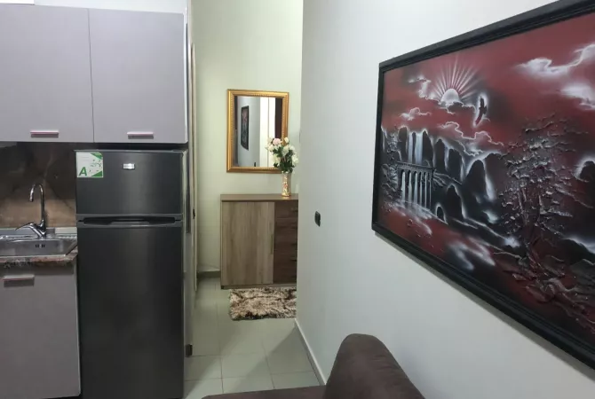 House for Rent 1+1 in Tirana - 50,000 Leke