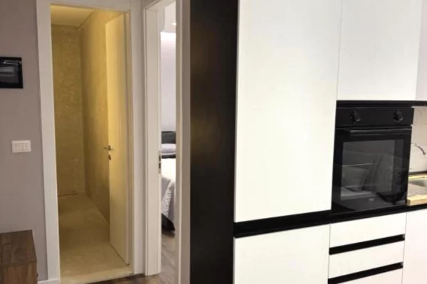 House for Rent 1+1 in Tirana - 800 Euro