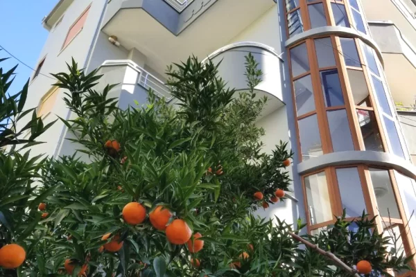 Shtepi ne shitje Vila Luksoze ne Tirane, 7+1, Mobilimi E mobiluar, Pagesa 730,000  Euro.