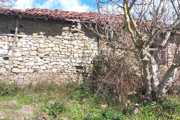 Truall ose Toke 2+1 ne Tirane - 72,000 Euro