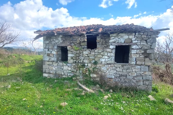 Truall ose Toke 2+1 ne Tirane - 72,000 Euro