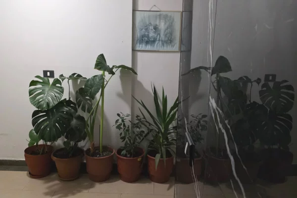 Shtepi me qera Apartament ne Tirane, Garsoniere, Mobilimi E mobiluar, Pagesa 650  Euro.