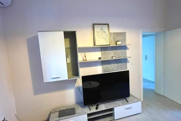 Shtepi me qera 1+1 ne Tirane - 50,000 Leke