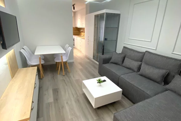 Shtepi me qera Apartament ne Tirane, 1+1, Mobilimi E mobiluar, Pagesa 550  Euro.